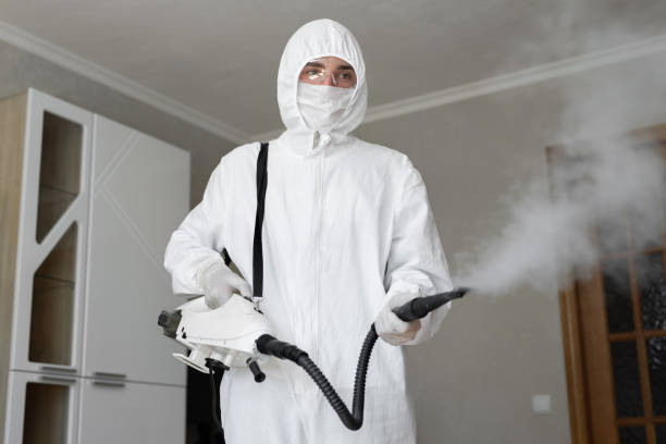 Best Mold Odor Removal Services in USA